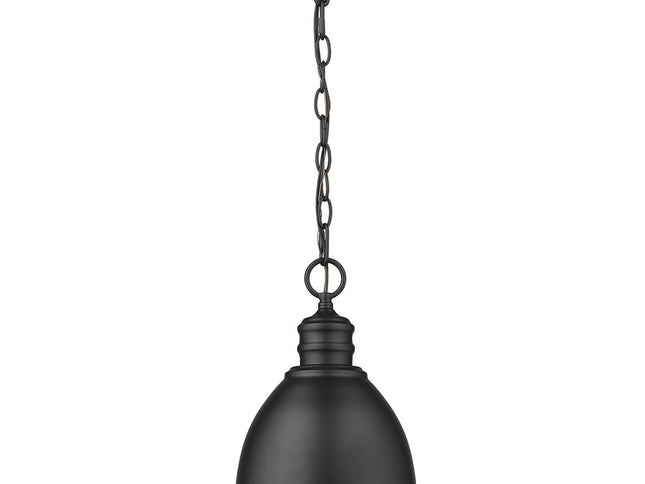 Minimalist Black Metal Pendant Hanging Light