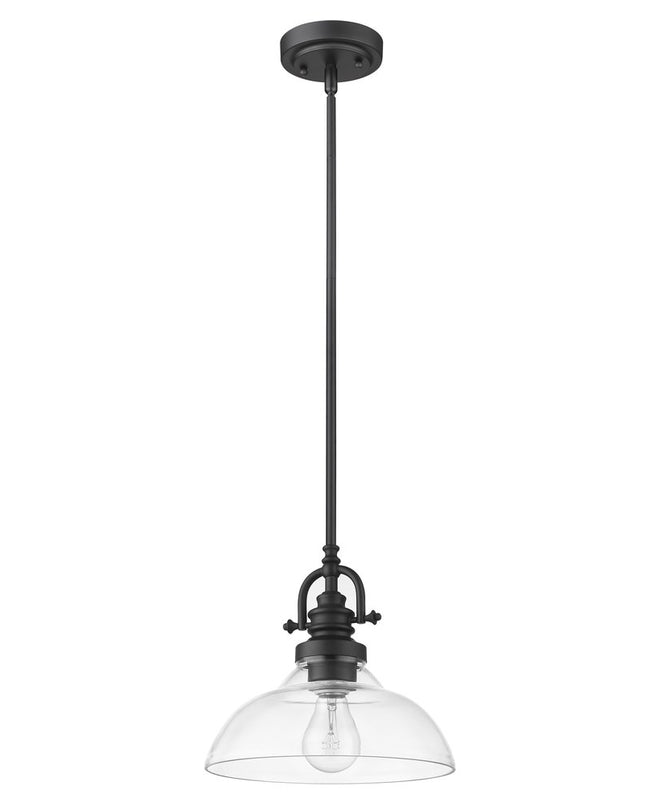 Matte Black Hanging Light with Glass Dome Shade
