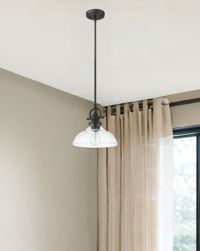 Matte Black Hanging Light with Glass Dome Shade