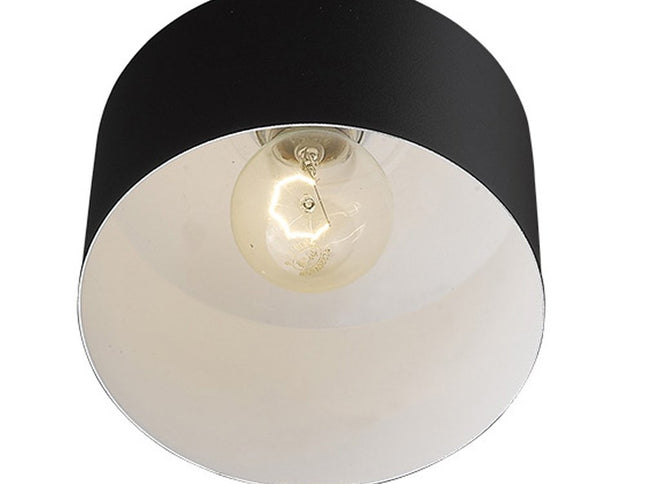 Matte Black and Rose Gold Pendant Hanging Light