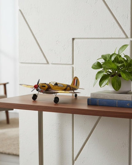 c1941 Curtiss Hawk 81A Sculpture