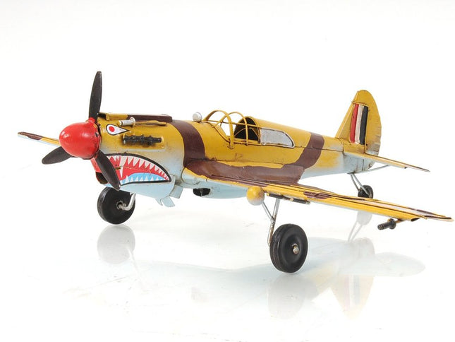 c1941 Curtiss Hawk 81A Sculpture