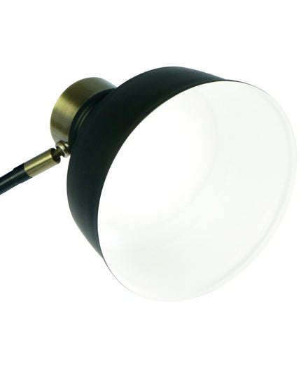 Matte Black and Antiqued Brass LED Adjustable Desk Lamp