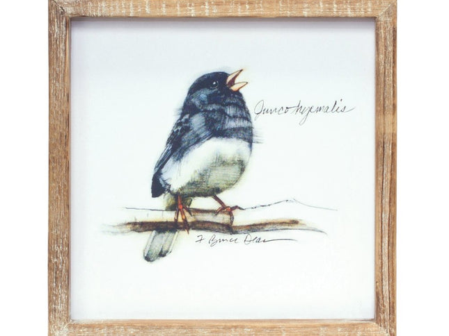 Set of Four Brown Bird Solid Wood Square Framed Art