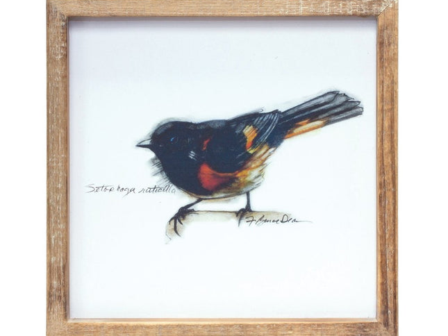 Set of Four Brown Bird Solid Wood Square Framed Art