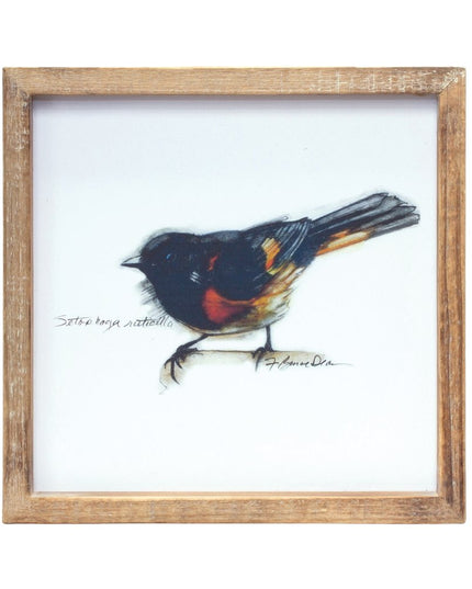 Set of Four Brown Bird Solid Wood Square Framed Art