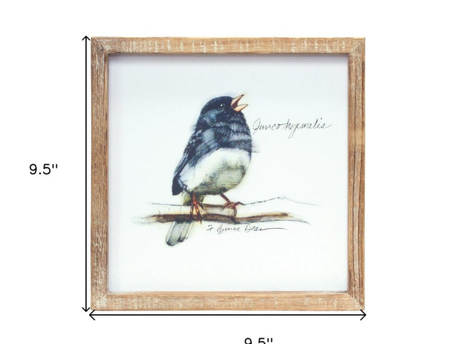Set of Four Brown Bird Solid Wood Square Framed Art