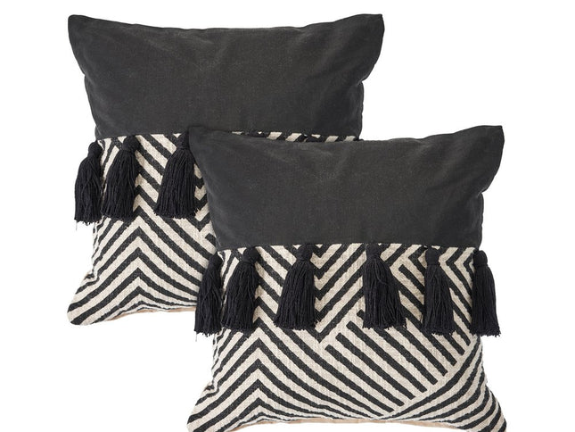Set of Two Black and White Chevron Cotton Throw Pillow With Tassels