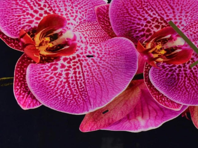 24" Pink Black And Gold Solid Wood and Acrylic Silent Orchids Floral Wall Clock