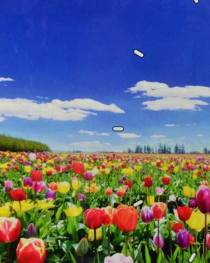 24" Blue Red And Gold Solid Wood and Acrylic Silent Tulips Floral Wall Clock