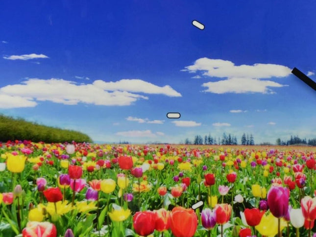 24" Blue Red And Gold Solid Wood and Acrylic Silent Tulips Floral Wall Clock