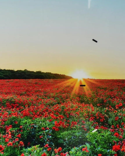 24" Red Blue And Gold Solid Wood and Acrylic Silent Poppies Floral Wall Clock