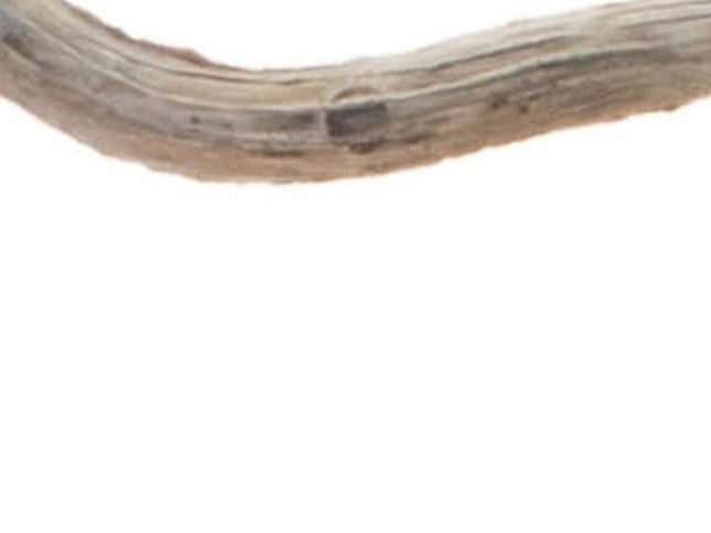 Set of Two Orange And Brown Glass Pumpkin Thanksgiving Pumpkin Tabletop Sculpture with LED