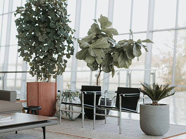 24" Silver Stainless Steel Arm Chair