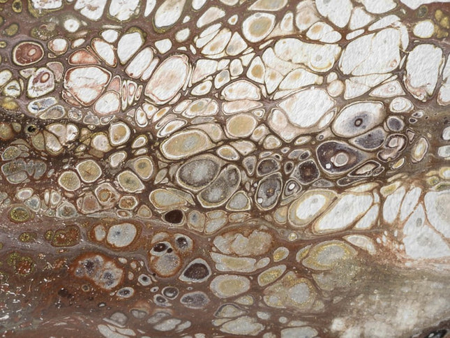 50" X 70" Chocolate And Ivory Abstract Polyester Woven Plush Throw Blanket