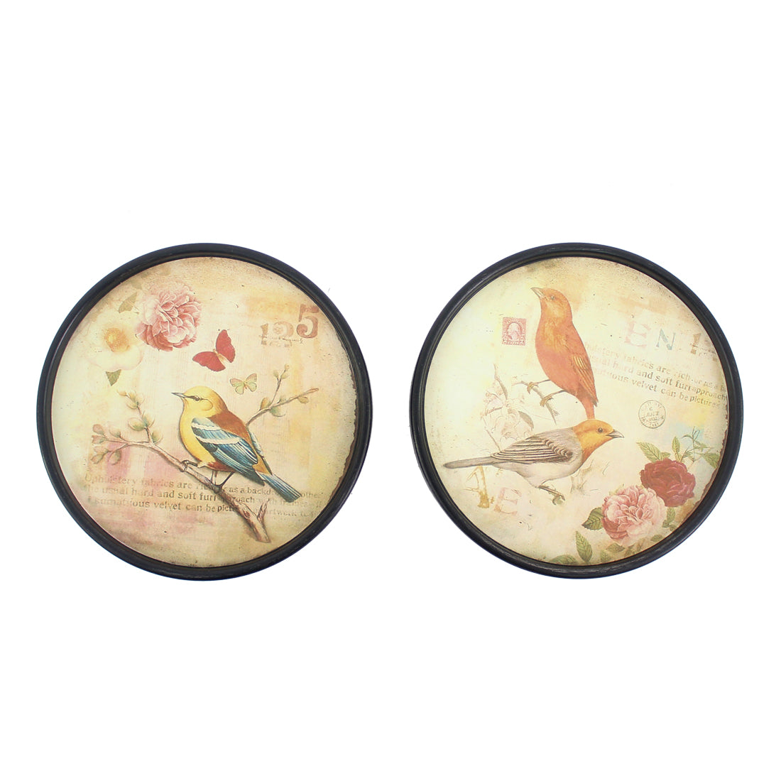 9" x 9" Multi-Color Rustic Bird Plate - Painting Set