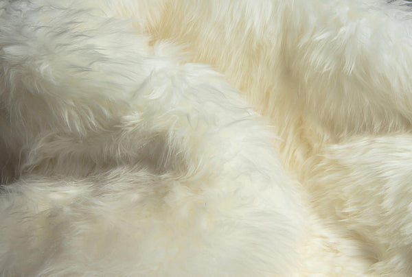 2' x 3' Natural New Zealand Sheepskin Wool Area Rug in White