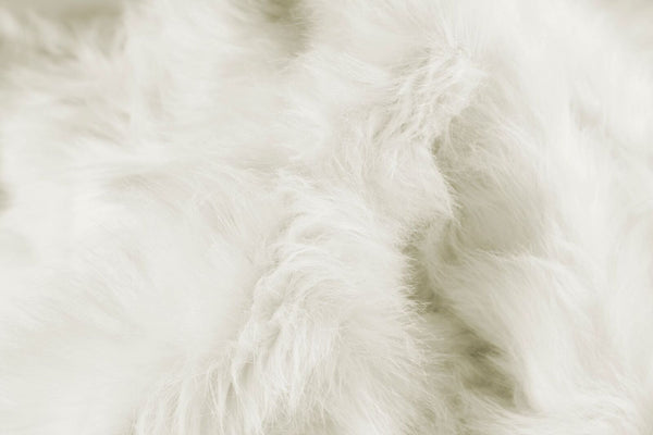 24" x 36" x 1.5" Off White Sheepskin Faux Fur Single - Area Rug