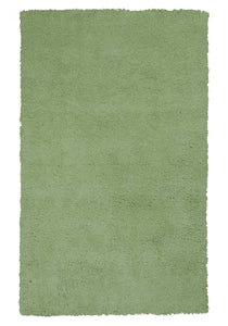 2'x4' Spearmint Green Indoor Shag Rug