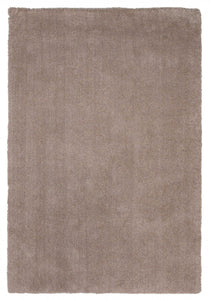 2'x4' Beige Indoor Shag Rug