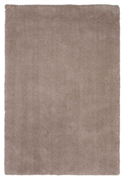 2'x4' Beige Indoor Shag Rug