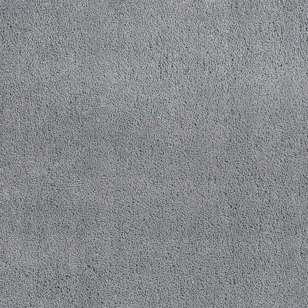 2' x 4' Polyester Grey Area Rug