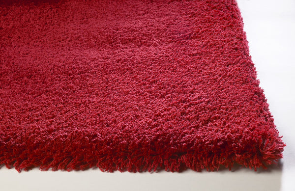 2'x4' Red Indoor Shag Rug