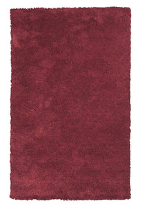 2'x4' Red Indoor Shag Rug