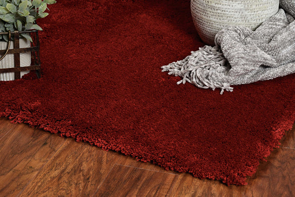 2'x4' Red Indoor Shag Rug