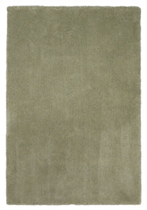 2'x4' Sage Green Indoor Shag Rug