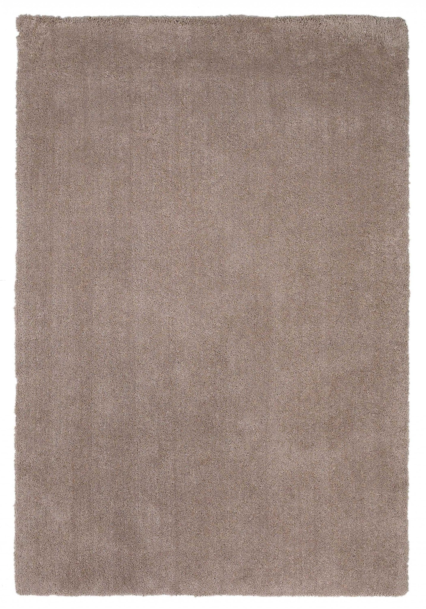 3'x5' Beige Heather Indoor Shag Rug