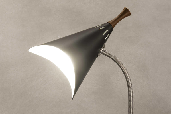 Matte Black Metal Gooseneck Adjustable Desk Lamp