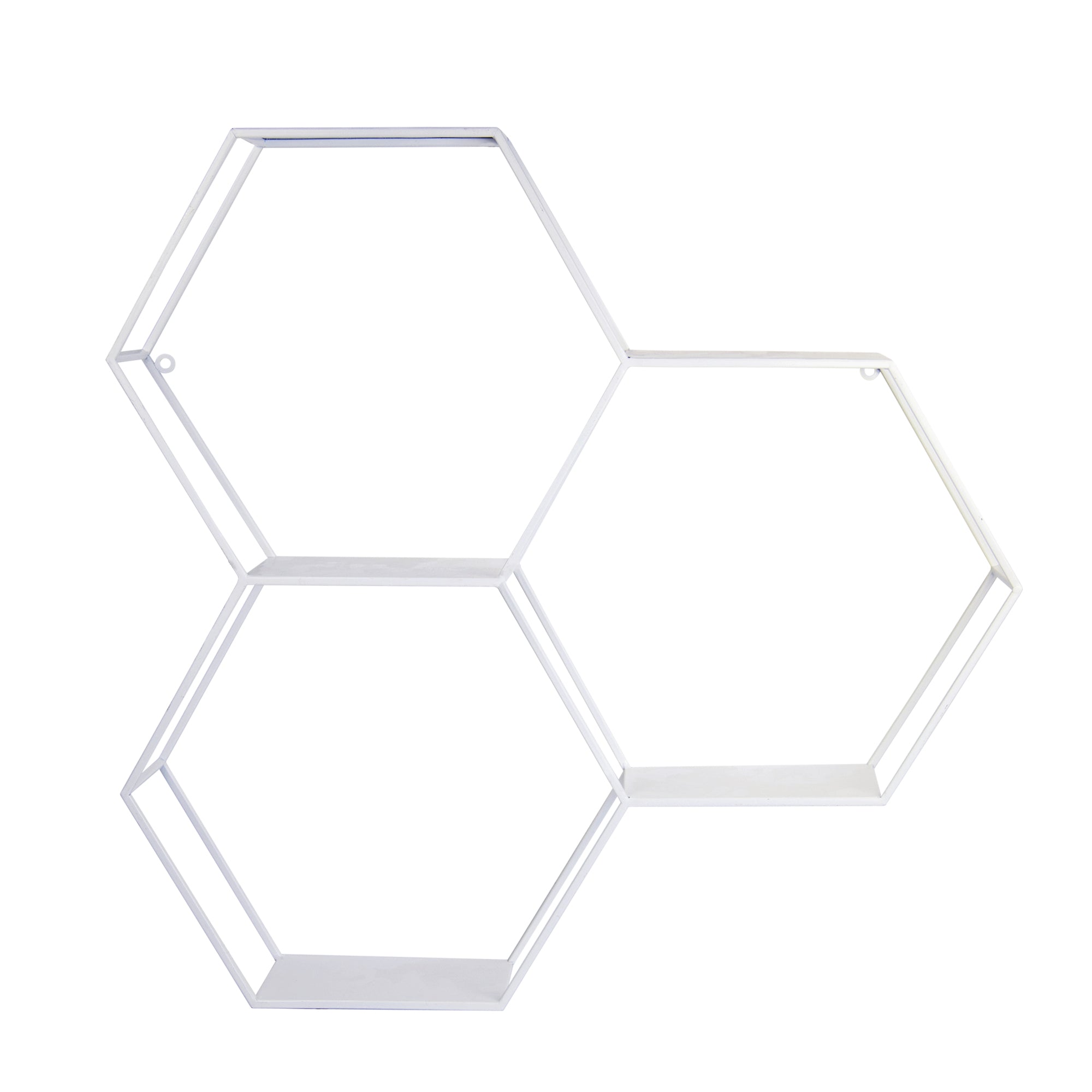 Hexagonal Metal Shelf with D-Ring