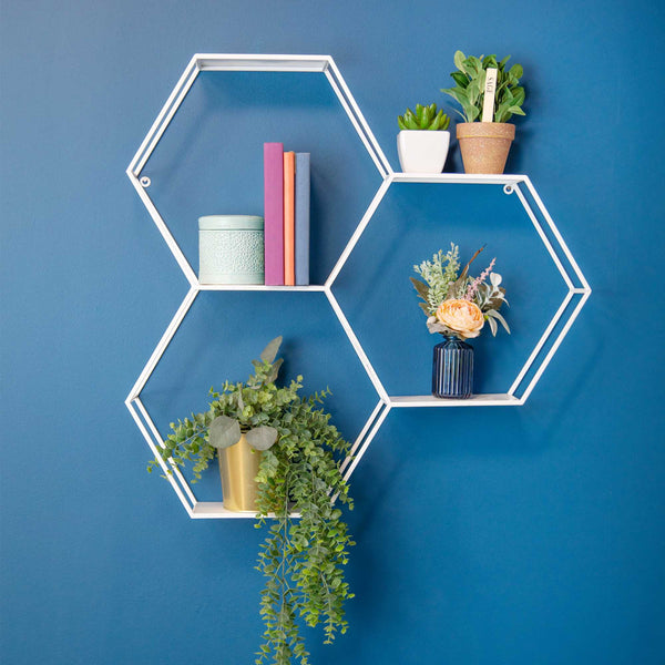 Hexagonal Metal Shelf with D-Ring