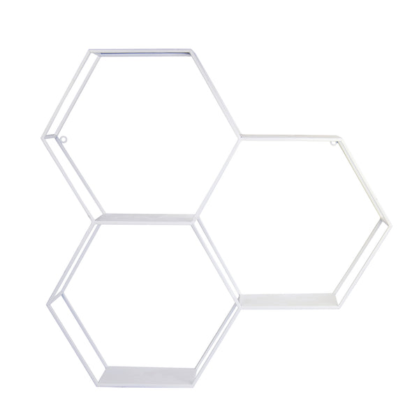 Hexagonal Metal Shelf with D-Ring