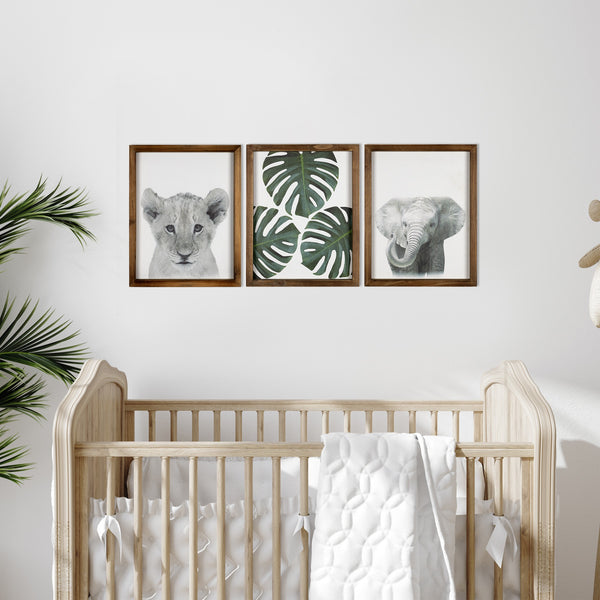 Jungle Safari Modern Wall Art Set