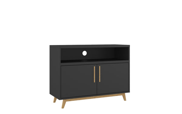 Modern Black and Natural Two Door Console Table