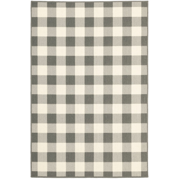 4’x6’ Gray and Ivory Gingham Indoor Outdoor Area Rug