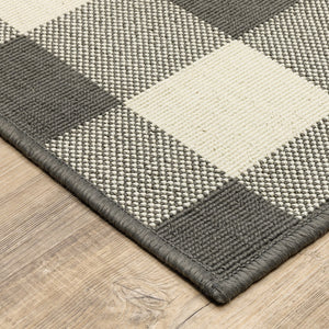 4’x6’ Gray and Ivory Gingham Indoor Outdoor Area Rug