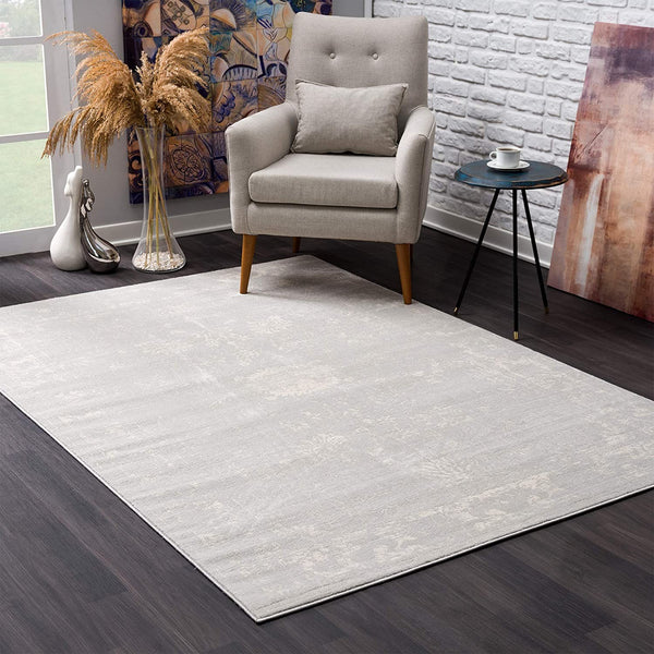 4’ x 6’ Modern Gray Distressed Area Rug