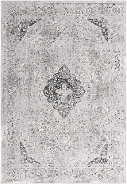 4’ x 6’ Gray Distressed Decorative Area Rug