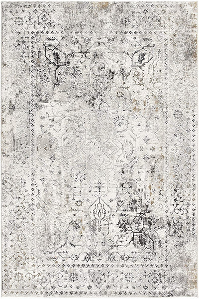 4’ x 6’ Gray Distressed Ornate Area Rug