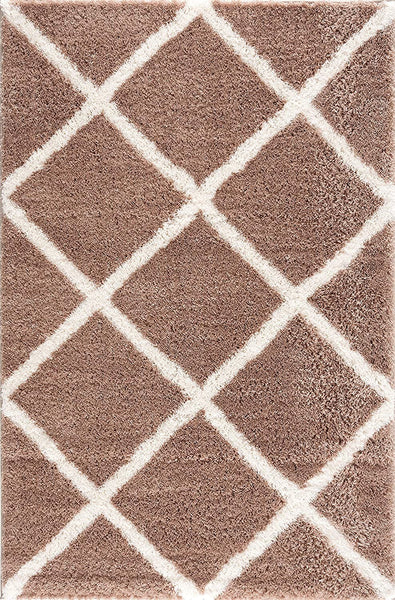 3’ x 5’ Beige and White Modern Lattice Area Rug