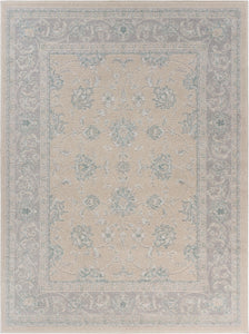 5’ x 7’ Blue and Beige Ornate Bordered Area Rug