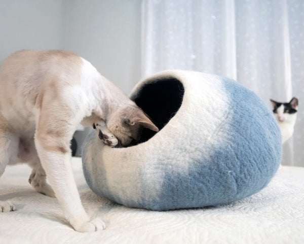 Sky Blue and White Cat Cave Bed