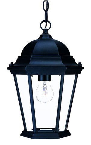 Matte Black Domed Glass Lantern Hanging Light