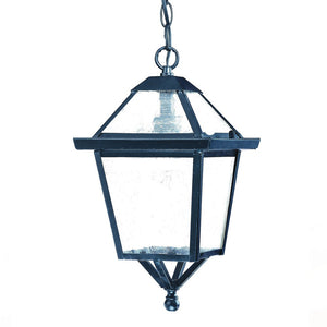 Matte Black Hanging Lantern Light