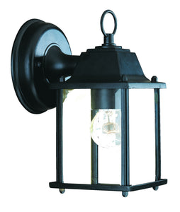 Matte Black Hanging Glass Lantern Wall Light