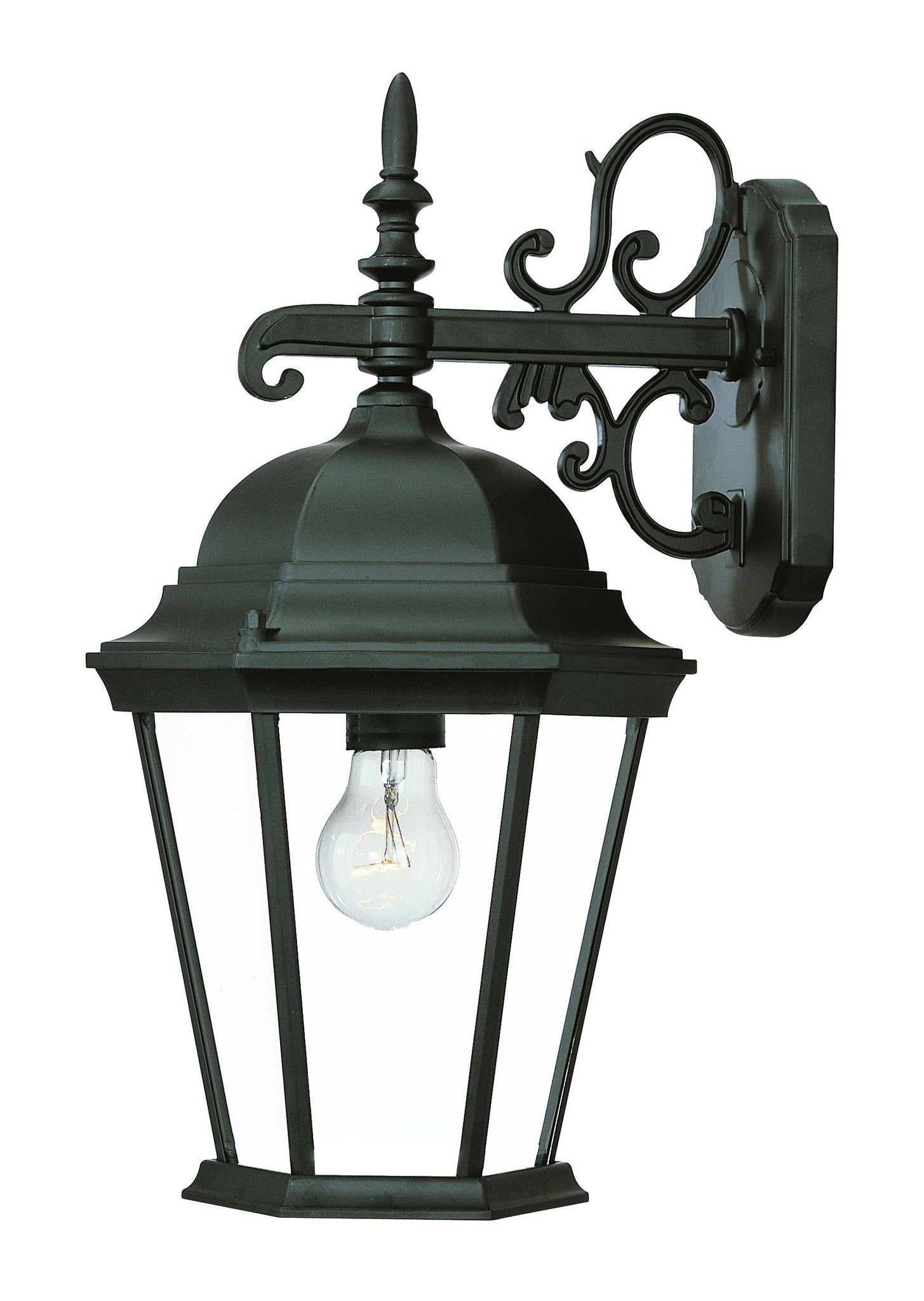 Matte Black Domed Glass Hanging Lantern Wall Light