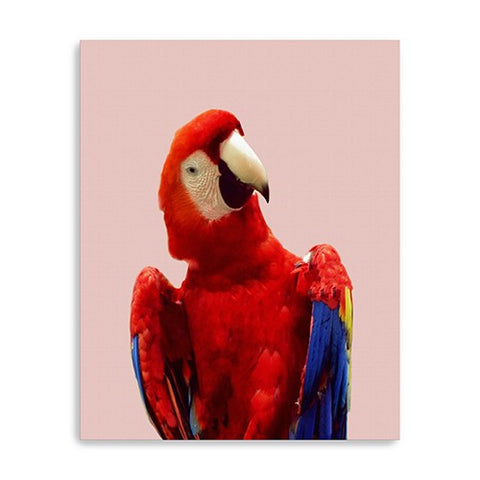 20" Vibrant and Vivid Bird Canvas Wall Art